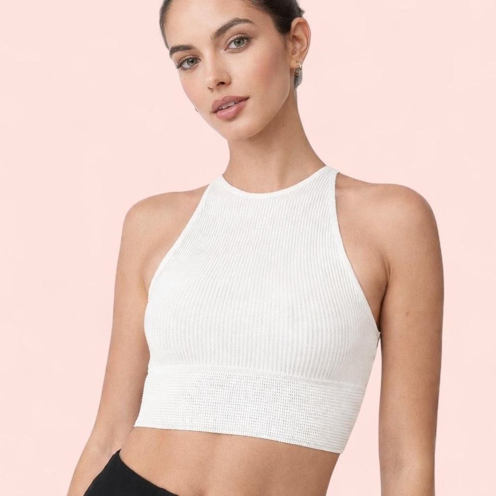 Babaton (Aritzia) Sculpt Knit Crop Top